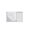 Derma Sciences - Hydrogel Dressing Xtrasorb® Colloidal 2.3 X 2.3 Inch, 10EA/Box
